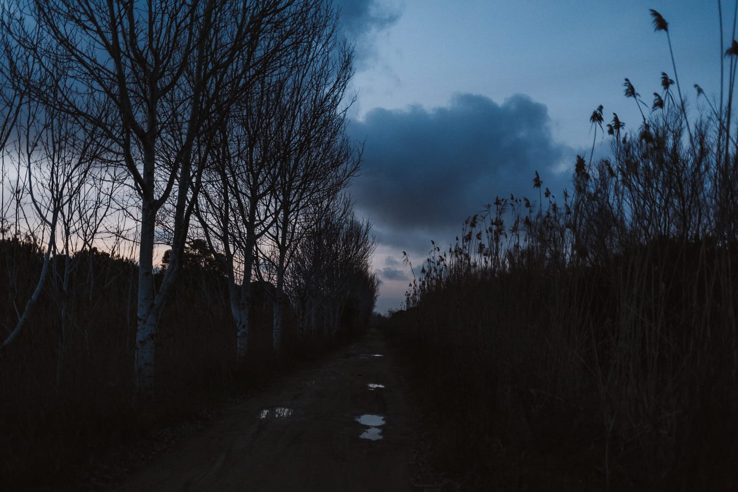 barcelona-wedding-photographer_20_