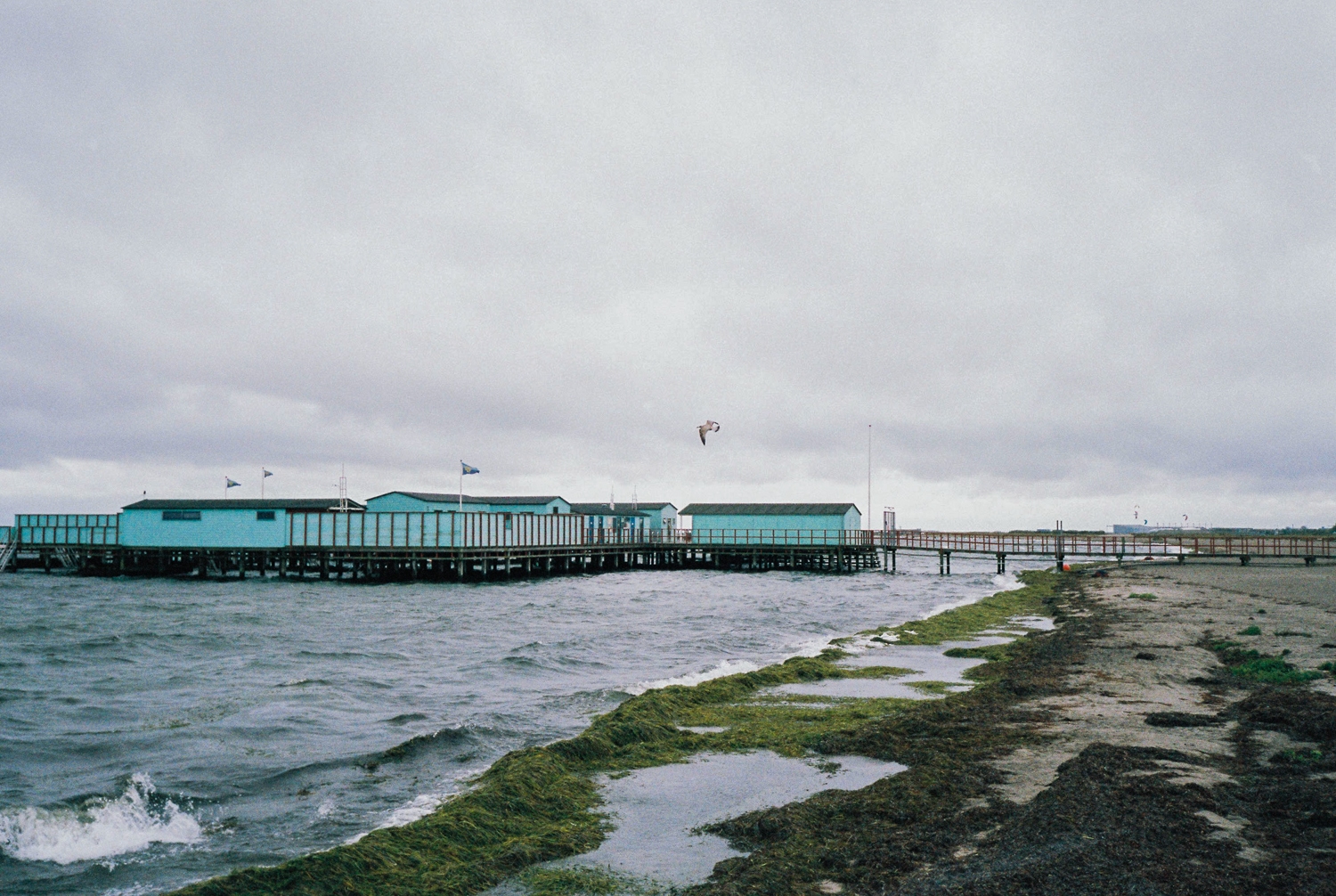 copenhagen-wedding-photographer_3_