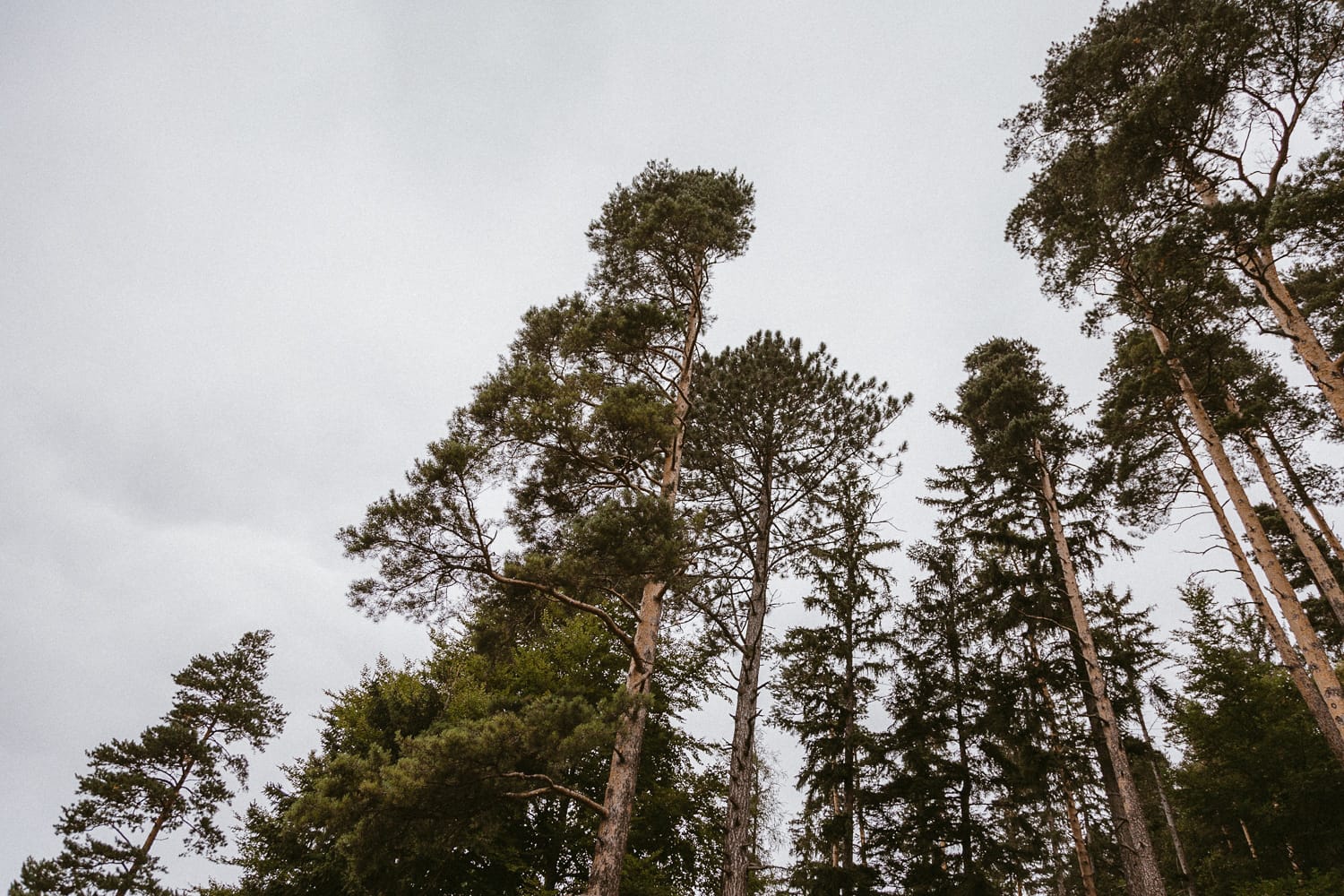 wedding-photographer-austria-mountain-wedding-alps_1_